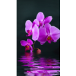 Panou radiant electric decorativ TRIO, incalzire cu infrarosu 430W  termostat 2 trepte  model orhidee violet,  100 x 60 cm