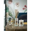 Oranje Bloesem Parfum Diffuser 100ml - Esteban Paris
