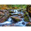 Puzzel 1000 stukjes Geniet - Bosstroom in de herfst