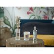 White Cotton Perfume Diffuser 100ml - Esteban Paris