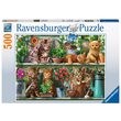 Puzzle Ravensburger - Cats on the Shelf, 500 Teile