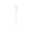 Câble Apple Original Type-C vers Lightning 1 m, blanc