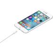 Câble USB vers Lightning d'origine Apple 1 m, blanc