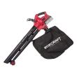 Aspirafoglie, con 2 batterie da 4 Ah, caricabatterie Li-ion 2x20V, sacco di raccolta, Worcraft