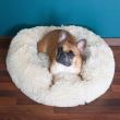 Cuccia morbida per cani/gatti, beige, 50 cm