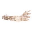 Decorazione natalizia, pavone, oro e bianco, 50x20x23 cm