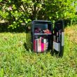 Frigo turistico, mini, 12V/220V, nero, 4 L, 17,5x23,5x25 cm, Malatec