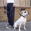 Guinzaglio per cani, Purlov, PP, riflettente, con moschettone, 5 m