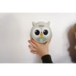 FLOW Rilevatore di fumo Mr. Owl