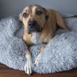 Cuccia morbida per cani/gatti, grigia, 90 cm