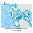 Tapones para los oídos para nadar, evitan que el agua entre en los oídos de los niños, 1 año+, reutilizables, hipoalergénicos, azul, SANOHRA Swim Kids
