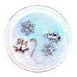 Popsockets unterstützen PopGrip Tidepool Snowed In