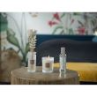 White Cotton Perfume Diffuser 100ml - Esteban Paris