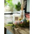 Diffuseur de parfum Blooming Tea 100ml - Esteban Paris