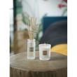 White Cotton Perfume Diffuser 100ml - Esteban Paris