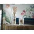 Profumo di riserva 250ml Summer Jasmine - Esteban Paris