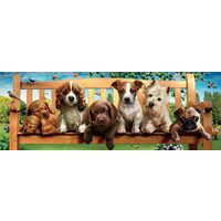 Puzzel 1000 stukjes panoramisch Educa - Puppy&#39;s op de bank