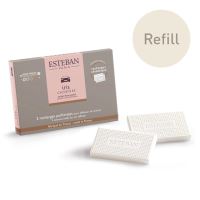 Recharge parfumée pour diffuseur de voiture Iris Cachemire - Esteban Paris