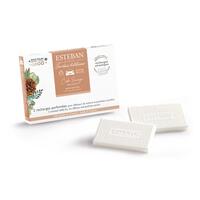Ricarica profumata per diffusore auto Wild Cedar - Esteban Paris