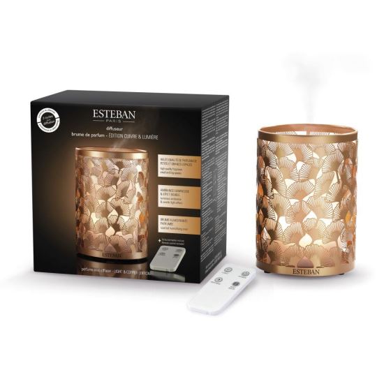 Diffuseur Electric Light&amp;Copper - Esteban Paris