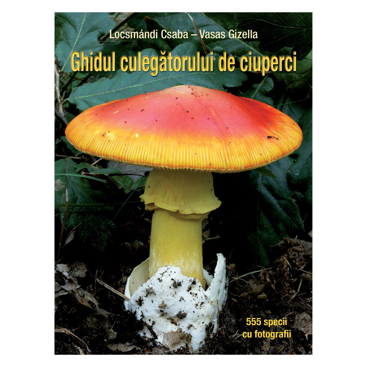 Ghidul culegătorului de ciuperci - 555 de specii