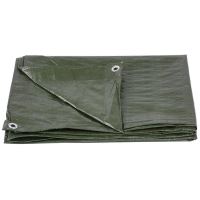 Telo impermeabile con anelli, 4,9x7,9 m, PE, 65 g/m2, 40 m2