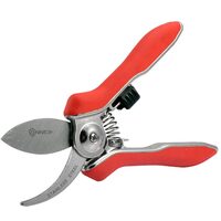 Forbici per recidere fiori, tipo bypass, professionali, 15 cm