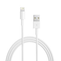 Cavo Lightning Apple Originale Bianco 2m