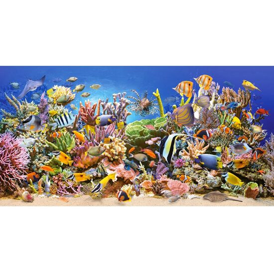 Puzzle Castorland - Vie sous-marine, 4000 pièces