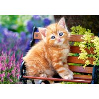 Puzzel Castorland - Ginger Kitten, 500 stukjes