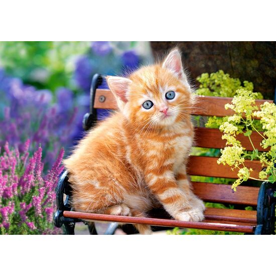Puzzel Castorland - Ginger Kitten, 500 stukjes