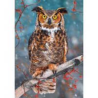 Puzzle Castorland - Grand-duc, 500 pièces