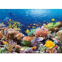 Puzzle Castorland - Pesci della barriera corallina, 1000 pezzi
