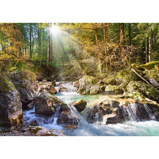 Puzzel Castorland - Sunny Forest Sream, 2000 stukjes