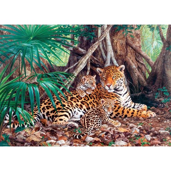 Puzzle Castorland - Jaguars dans la jungle