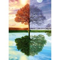Puzzle Schmidt - L'albero delle stagioni, 500 pezzi