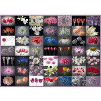 Puzzle Schmidt - Saluto floreale, 2000 pezzi