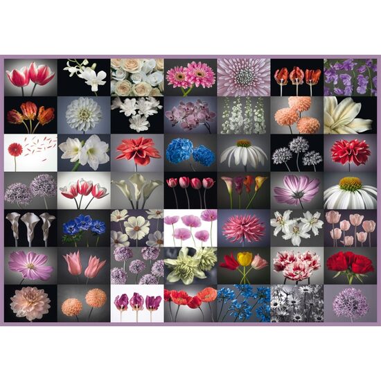 Puzzle Schmidt - Salutation florale, 2000 pièces