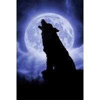 Puzzle Schmidt - Julie Fain: Notte di luna piena, 500 pezzi