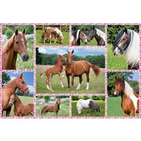 Puzzle Schmidt - Beautiful Horses, 150 pieces