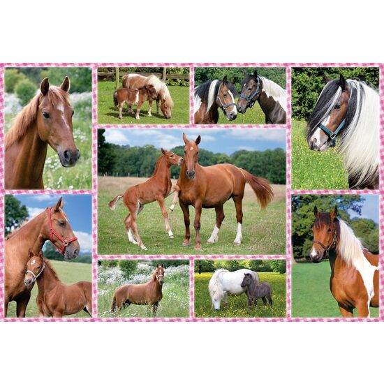 Puzzle Schmidt - Beautiful Horses, 150 pieces