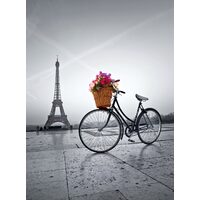 Puzzle Clementoni - Parigi, Francia, 500 pezzi