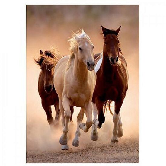 Puzzle Clementoni - Cavalli Selvaggi al Galoppo, 1000 pezzi