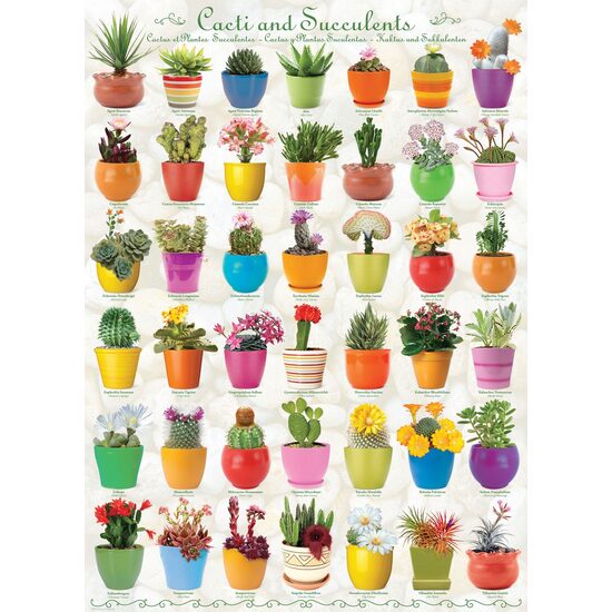 Puzzle Eurographics - Cactus & Plantes succulentes, 1000 pièces