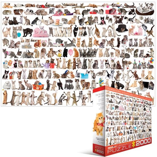 Puzzle Eurographics - Katze, 2000 Teile