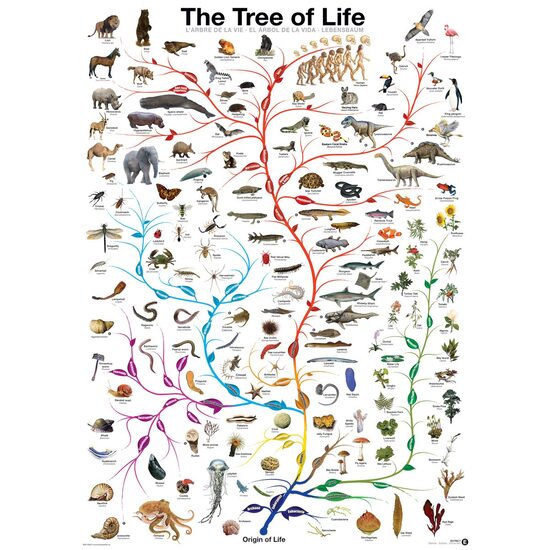 Puzzle Eurographics - Die Evolution - Der Baum des Lebens, 1000 Teile