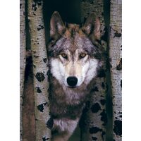 Puzzle Eurographics - Grauer Wolf, 1000 Teile