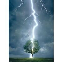 Puzzle Eurographics - Blitz schlägt in einen Baum, 1000 Teile