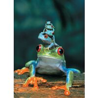 Eurographics Puzzle - Rotäugiger Laubfrosch, 1000 Teile