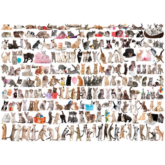 Puzzle Eurographics - Die Welt der Katzen, 1000 Teile